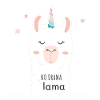 NO DRAMA LAMA