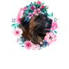 Leonberger Maman