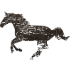 Wildes Pferd II
