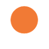 Orange Circle T-Shirt