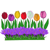 Spring flowers, tulips, crocuses
