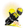 0791 fjr sun yellow