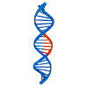 Double helix DNA DNA Test Gaveidee til forskere