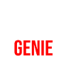 Wirtschaftsingenieur Genie Geschenkidee