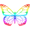 Butterfly gifts butterfly butterflies