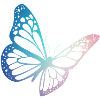 Papillon cadeaux papillon papillon papillon