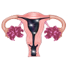 Uterus with flowers and galaxy