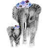 Mom And Daughter Elephant