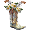Cowboy Boots