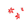 Deer skull