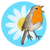 Robins and marguerites