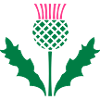Scottish Thistle
