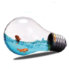 L'eau dans l'ampoule