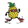 Pineapple Roller Skates , Ananas Inliner