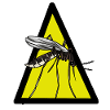 Mosquito mosquitoes insects insects mosquitoes