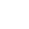 Bullterrier
