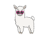 Lama sunglasses