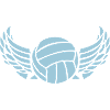 volleyball wing ball