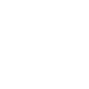 euro