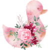 Ducky