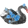 Schwarzer Schwan