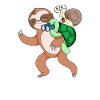 Turtle snail and sloth