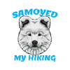Samojede Samoyed