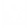 L’équitation