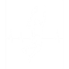 Tennis player