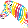 rainbow zebra