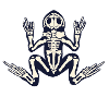 Skeleton frog