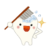 teeth