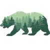 Nature bear