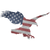 American Eagle - American Eagle