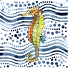 Seepferdchen