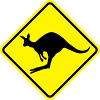 Kangaroo