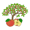 Apple tree, apple