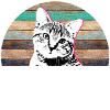 Best Cat Dad Ever