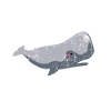 Cadeau baleine baleine gris baleine