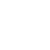 Praying Mantis Premium Design Gift