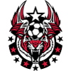pallone da calcio tigre logo sport 1