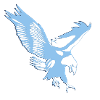Aquila Lazio disegno "Olimpia"