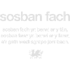 Wales rugby - Sosban Fach