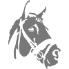 cheval