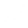 LAMA