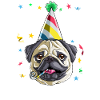 Ich bin 11 Lets Party