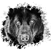 Schäferhund