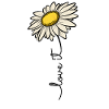 Daisies Love It Flowers Summer Gift