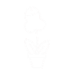 Pimmel flower (penis flower)
