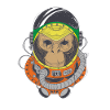 singe en combinaison spatiale